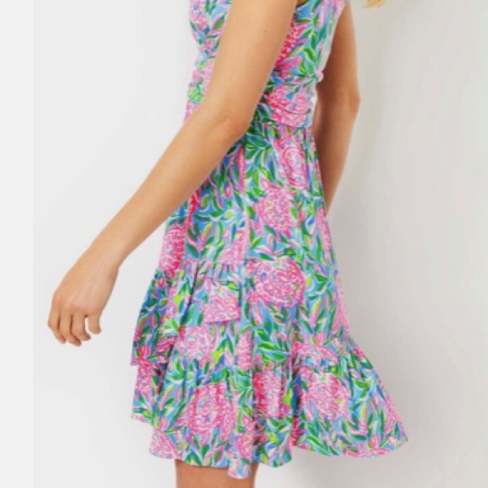 NWOT Lilly Pulitzer Annalise Dress - Picture 6 of 16
